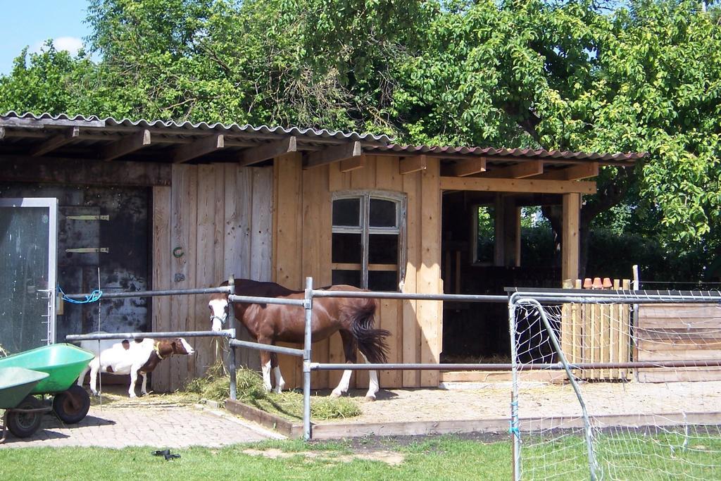 Landhotel Zum Adler Oberbechingen Buitenkant foto